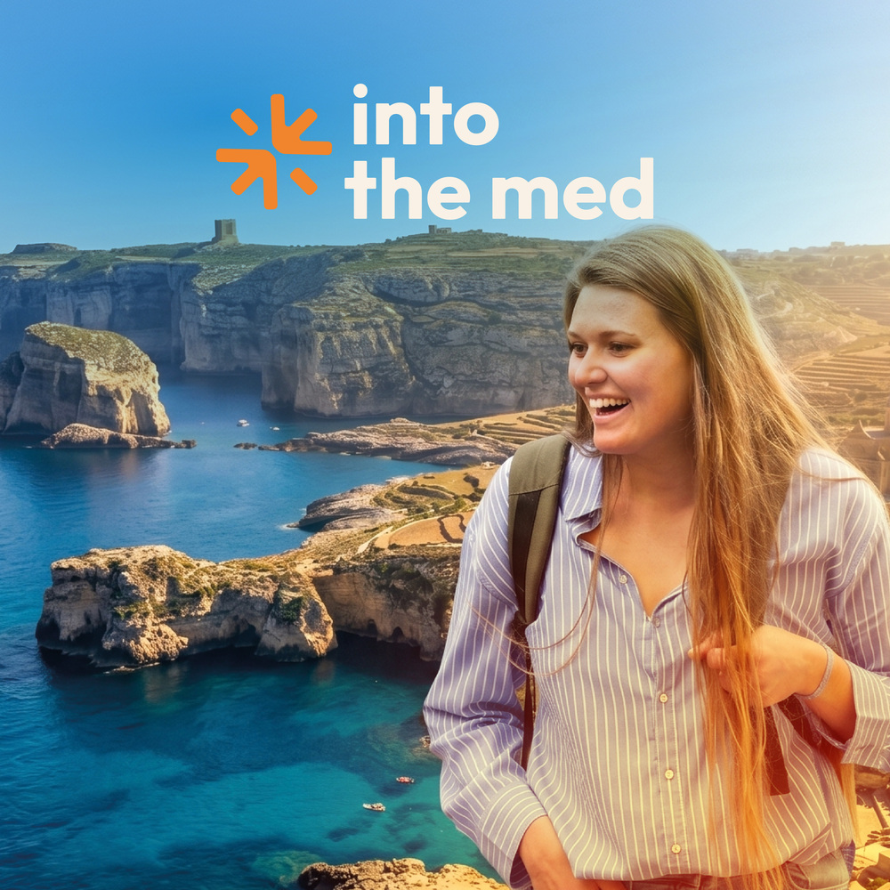 Poster Into the Med - Site